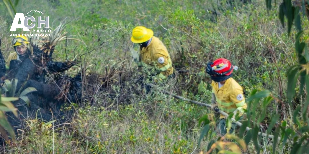 Cuerpo de Bomberos controla incendio forestal en San Clemente