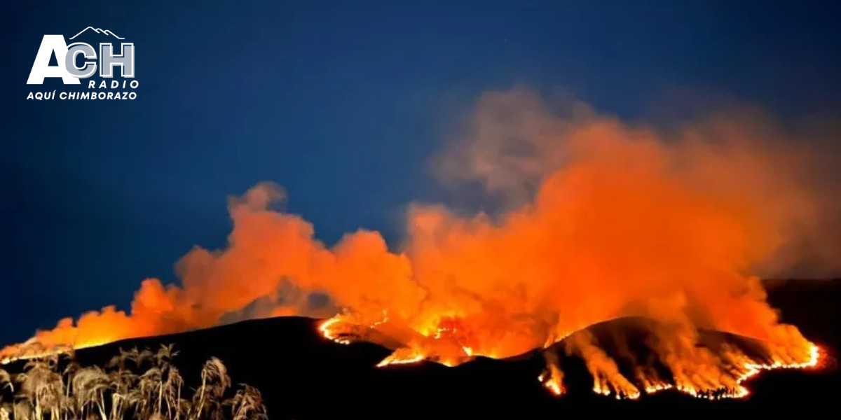 Incendios forestales afectan Napo e Imbabura; más de 860 hectáreas dañadas